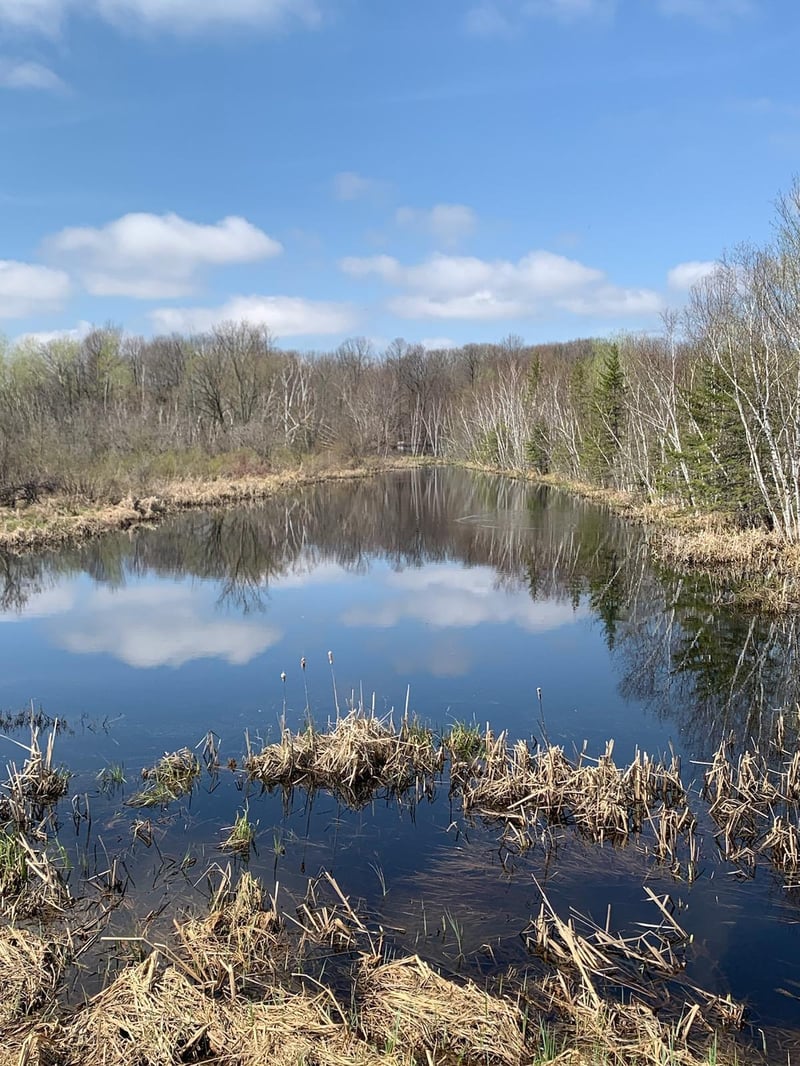 57538 Co Rd 3, Rock Creek, MN 55063