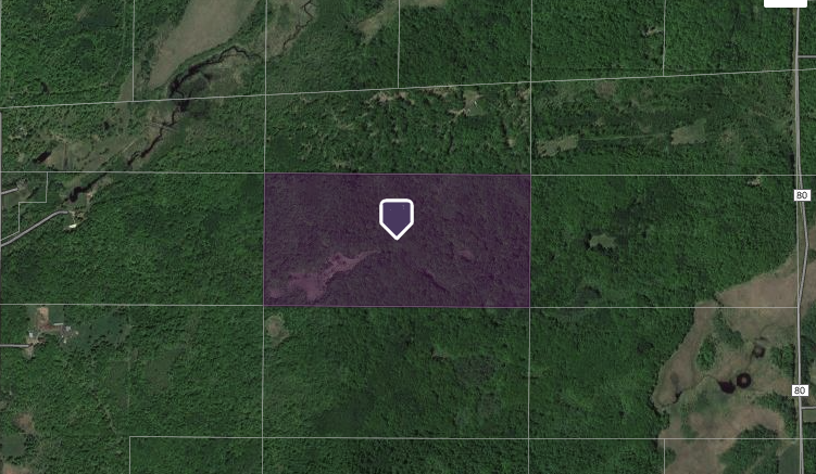 XXXX Hillman Township, Isle, MN 56342