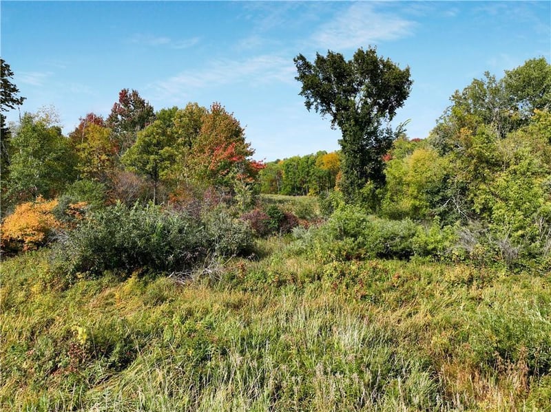 81.83 Acres 10th St, Clear Lake, WI 54005