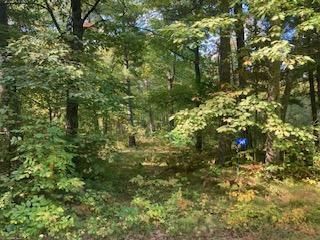 545 Isle Harbor On Leech, Federal Dam, MN 56641