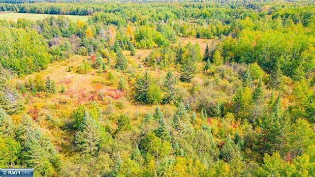 TBD Hayes Rd, Hibbing, MN 55746