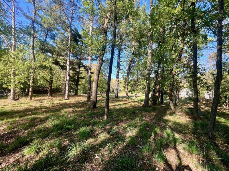 Lot A Cedar St, Birchwood, MN 55110