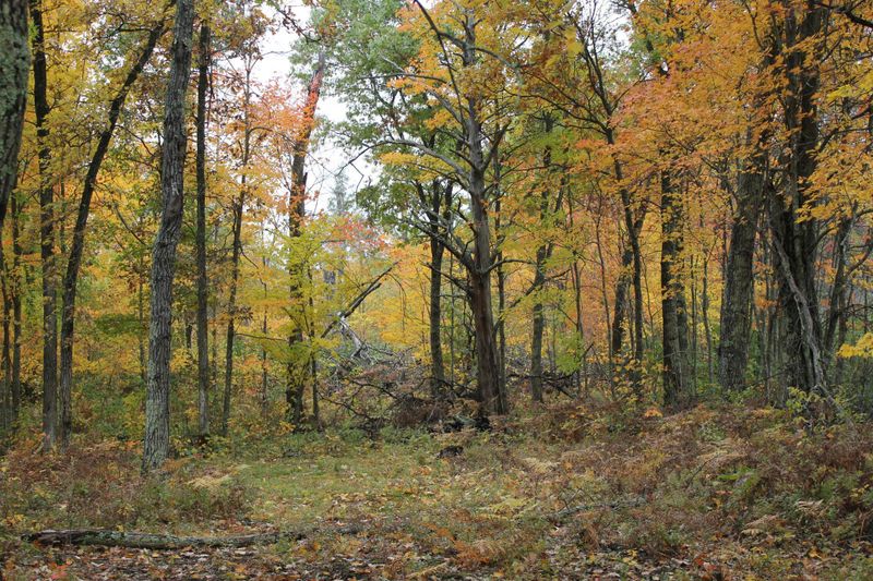 1xxx Perida Rd, Webster, WI 54893