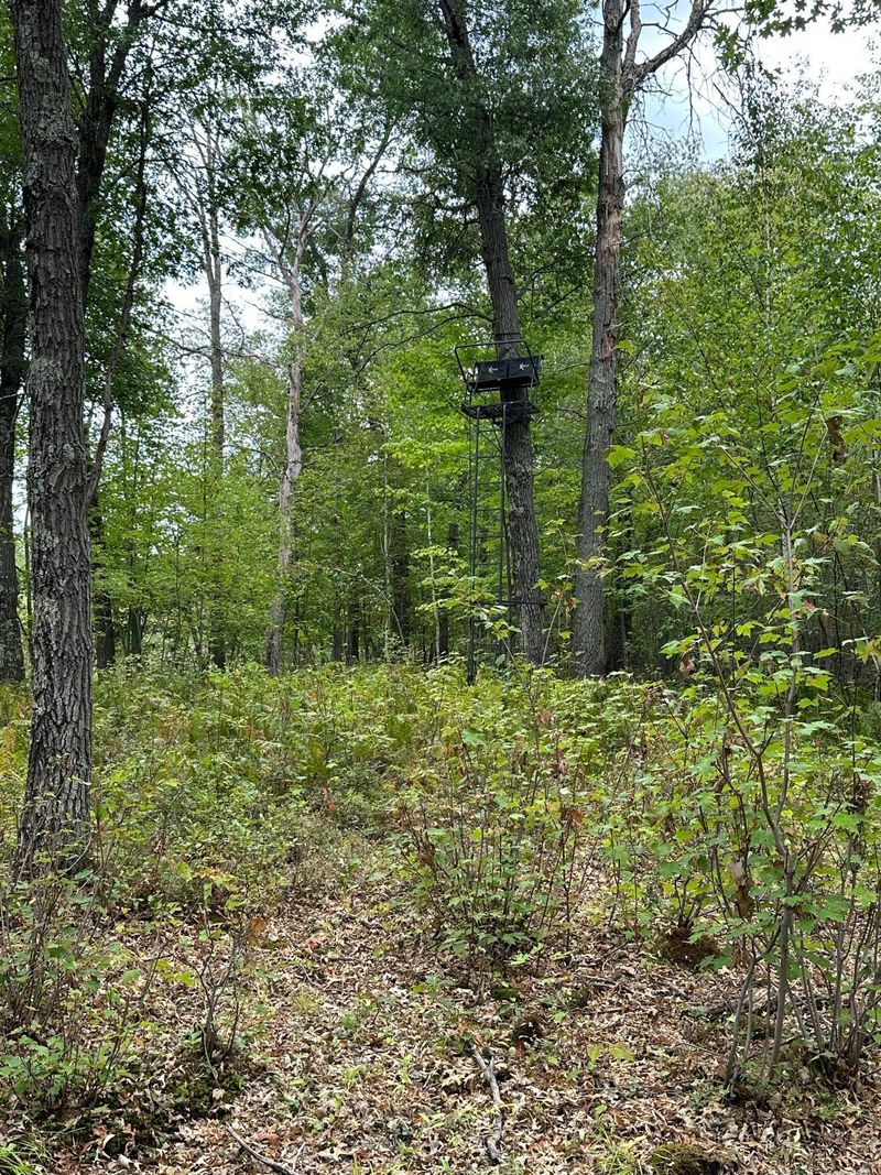 3xxx Perida Rd, Webster, WI 54893