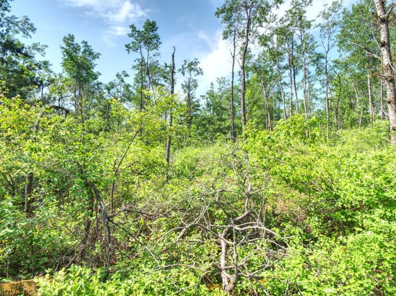 Lot 2 N East River Rd, Radisson, WI 54867