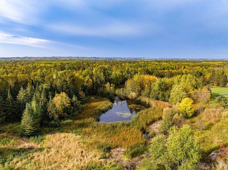 xxxx Sugar Maple Ln, Esko, MN 55733