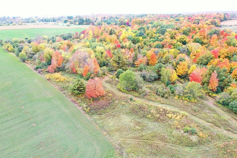 0 Cth P, Prairie Farm, WI 54762