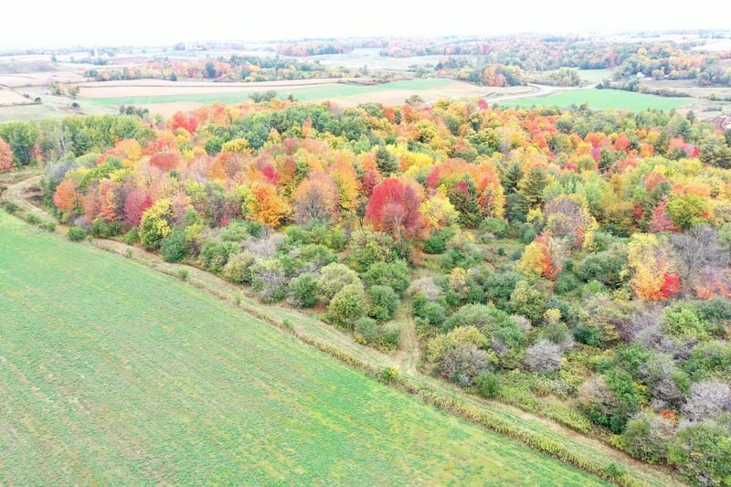 0 Cth P, Prairie Farm, WI 54762