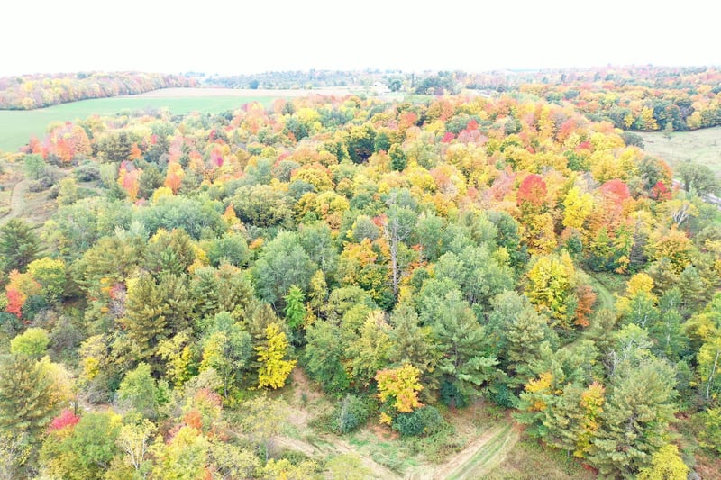 0 Cth P, Prairie Farm, WI 54762