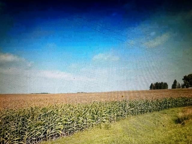 0 710531041364, Plainview, MN 55964