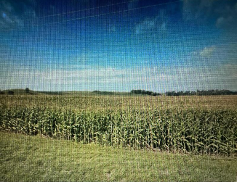0 710531041364, Plainview, MN 55964