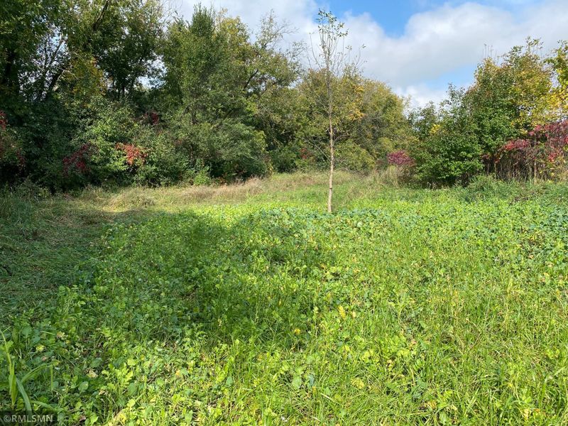 XX Duffield Ave NW, Maple Lake, MN 55358