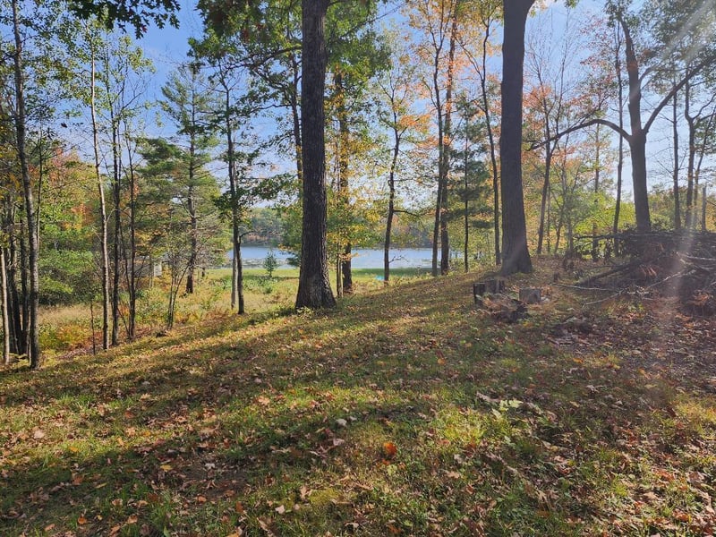 N2409 Loons Landing Rd, Weyerhaeuser, WI 54895