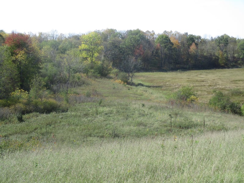 XXX 150th St, Balsam Lake, WI 54810