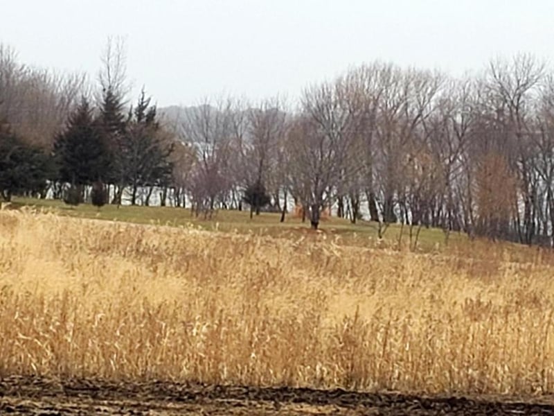 xxx E Shore Dr, Kilkenny, MN 56052
