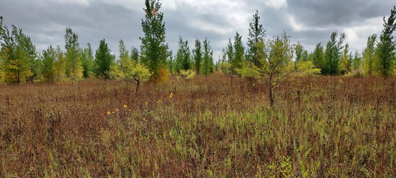 000 320th St, Lowry, MN 56334