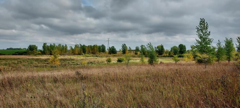 000 320th St, Lowry, MN 56334