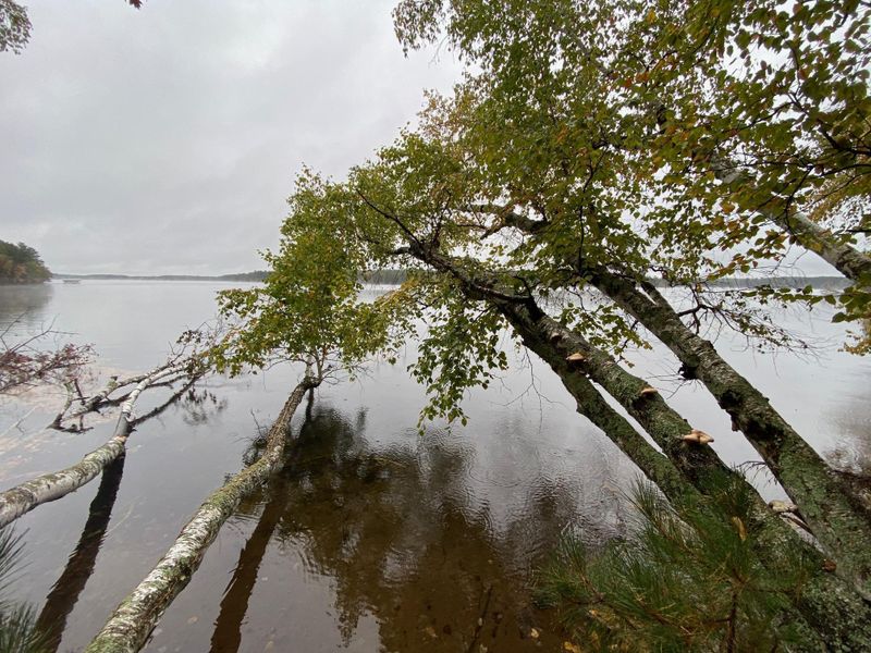 Lot 1 River Rd, Gordon, WI 54838