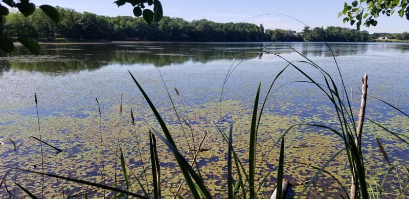 Lot 4 15th Ave, Star Prairie, WI 54026