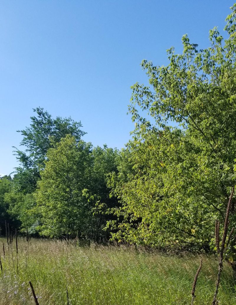 Lot 4 15th Ave, Star Prairie, WI 54026