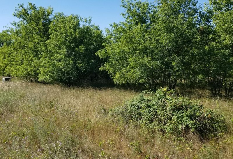 Lot 4 15th Ave, Star Prairie, WI 54026