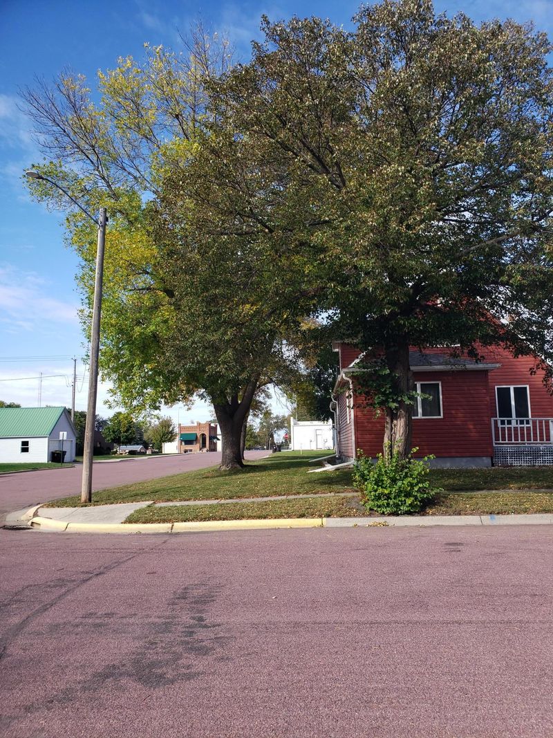 161 Ash St W, Trimont, MN 56176