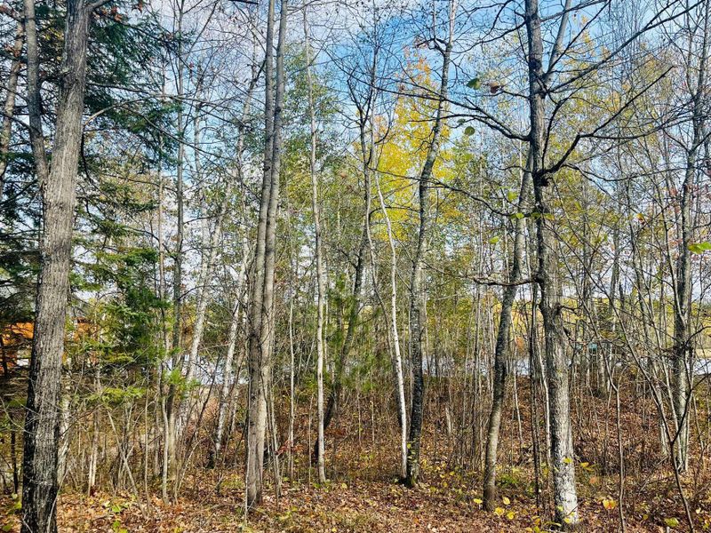 45768 Spider Lake Rd, Marcell, MN 56657