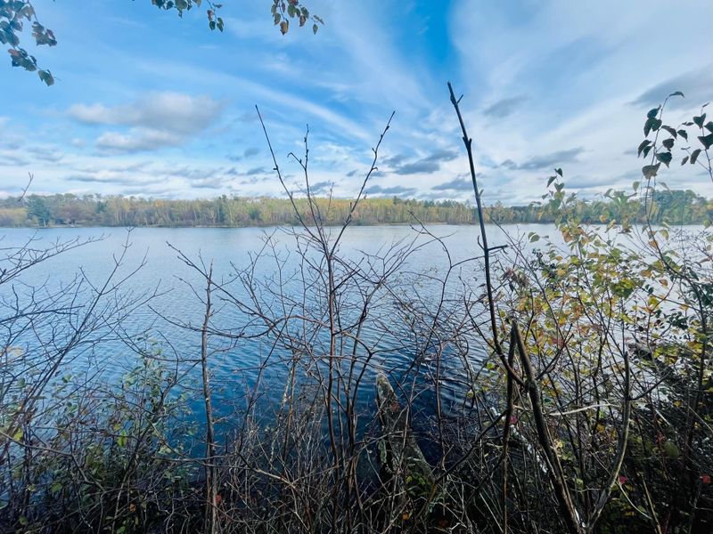 45768 Spider Lake Rd, Marcell, MN 56657