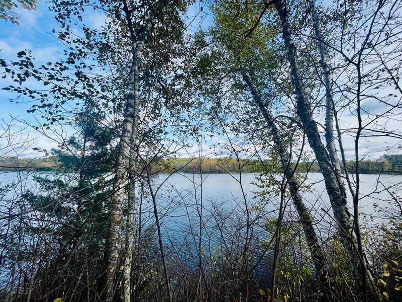 45768 Spider Lake Rd, Marcell, MN 56657