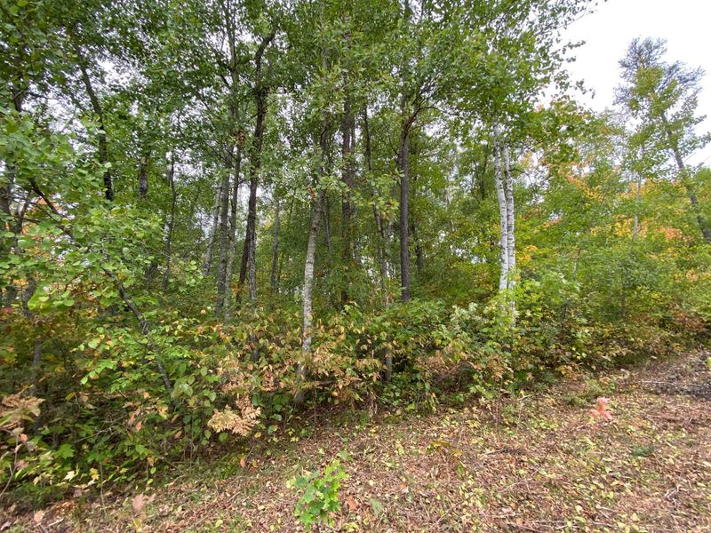 0 Shell Creek Rd, Minong, WI 54859