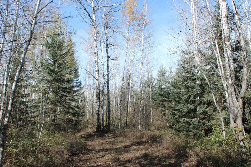 XXX State Highway 72, Baudette, MN 56623