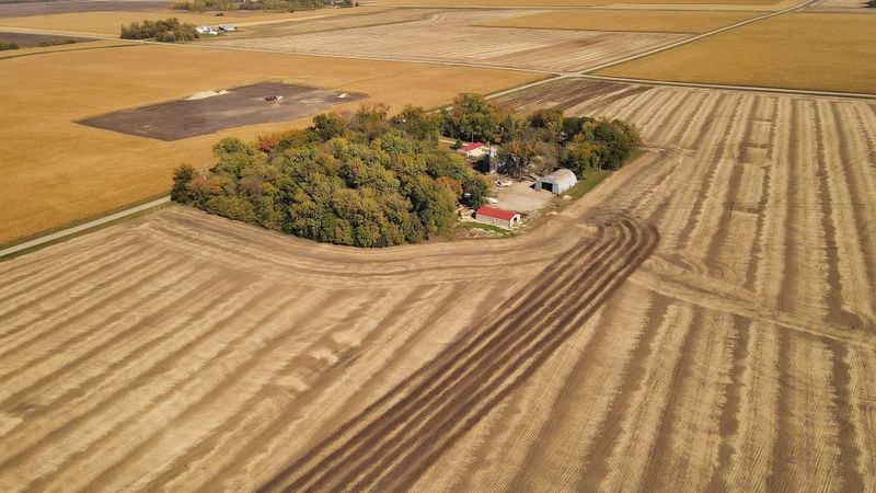 49823 780th Ave, Hector, MN 55342