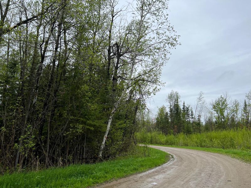 TBD N County Road 173, Deer River, MN 56636