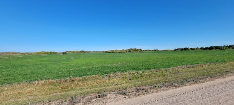 0, Strandquist, MN 56758