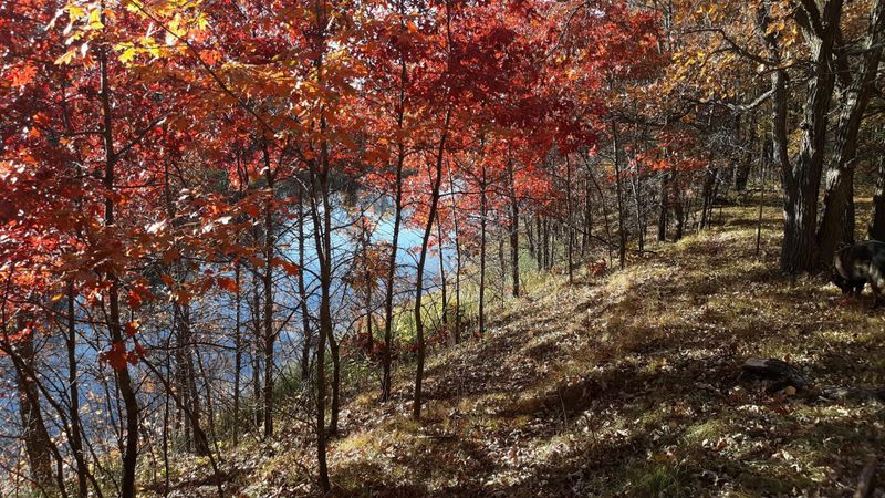 xxxx Odin Ct, Browerville, MN 56438