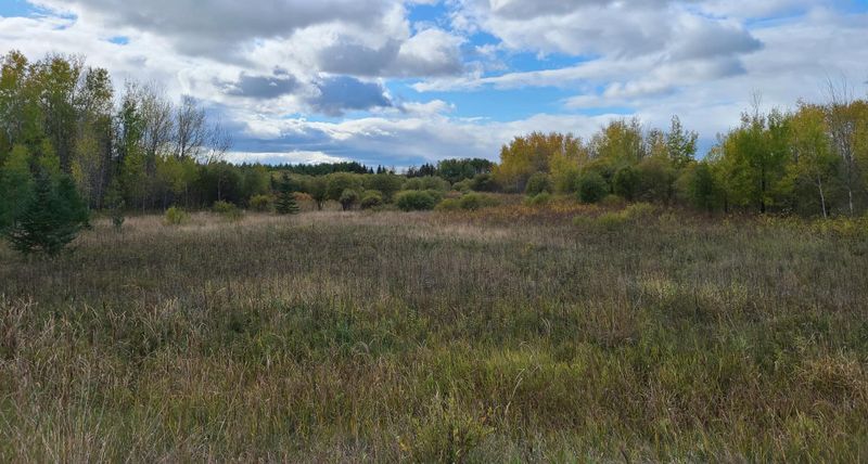 39xx Highway 11, International Falls, MN 56649