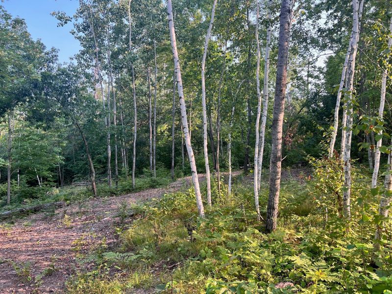 7773 White Overlook Dr, Breezy Point, MN 56472