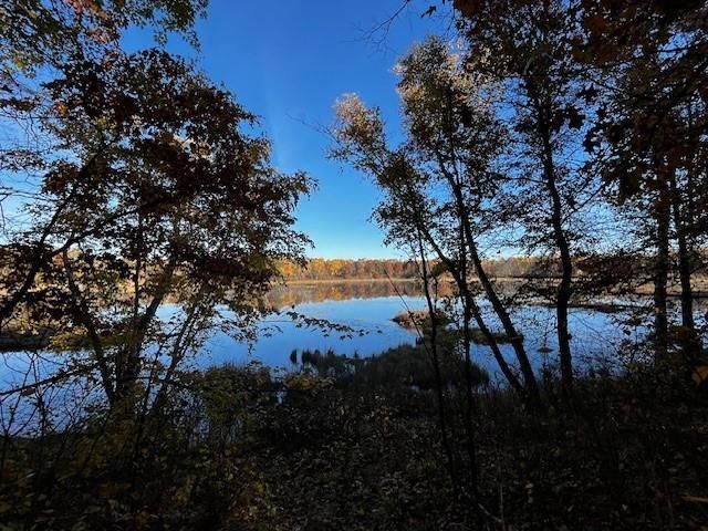 16103 Spruce Rd, Ironton, MN 56455
