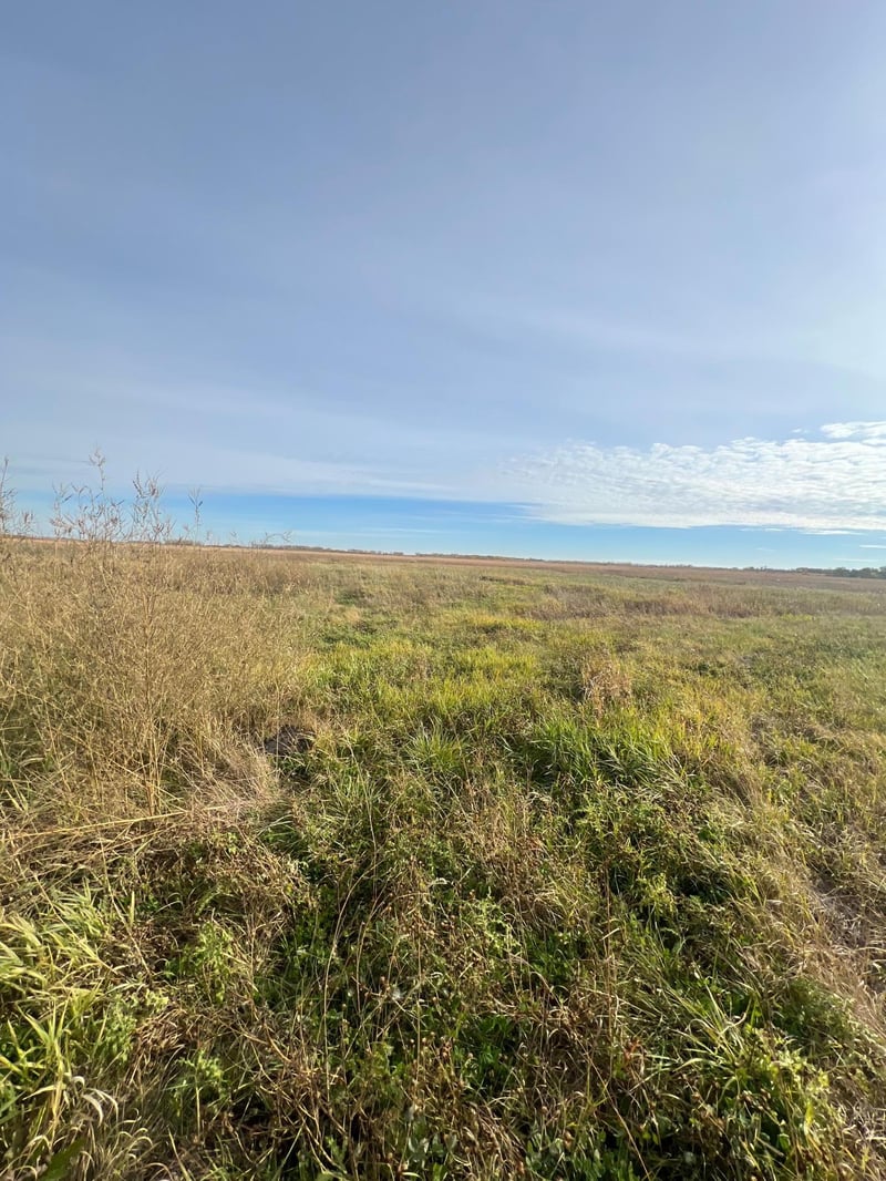 TBD SW 240th Ave Sw, Euclid, MN 56722