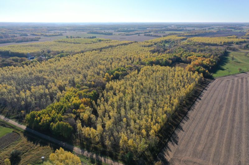 TBD County 22, Browerville, MN 56438