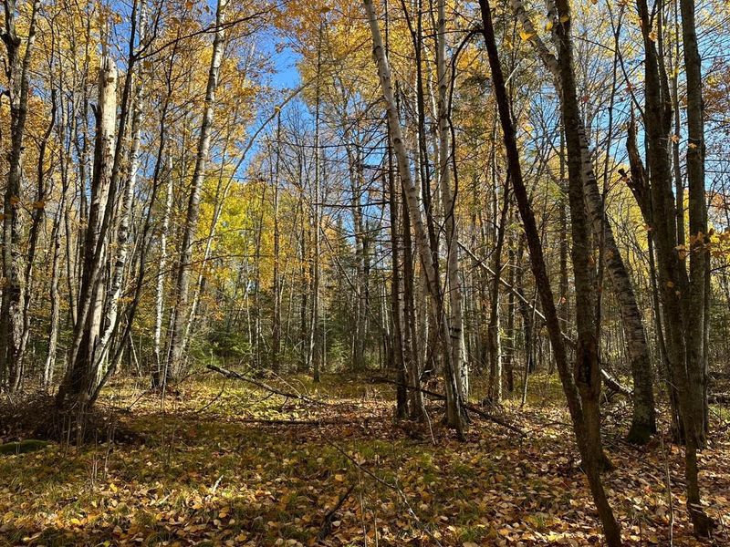 xxx School Forest Rd, Cromwell, MN 55726