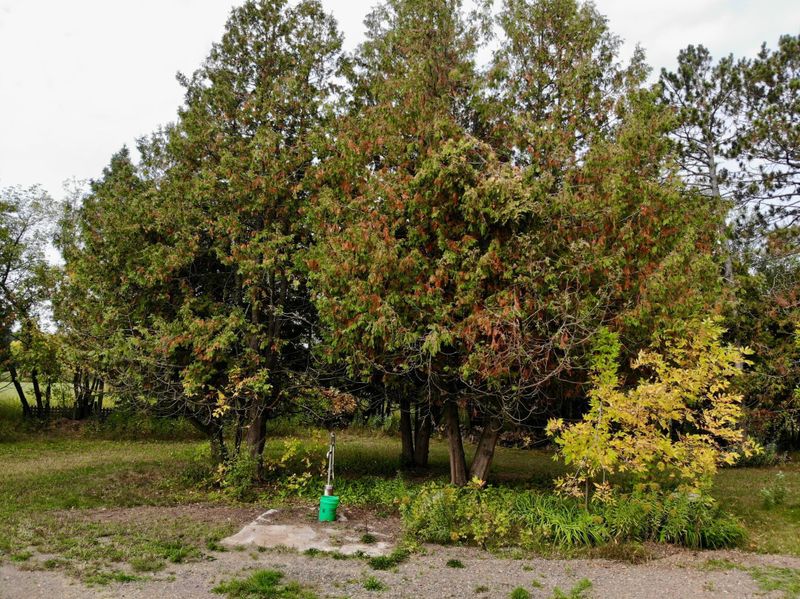 4808 West Rd, Moose Lake, MN 55767