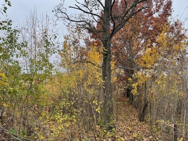 xxx 85th St, Milaca, MN 56353