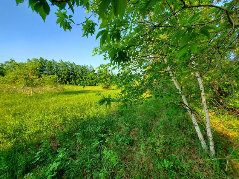 39935 Hornsby Ave, North Branch, MN 55056