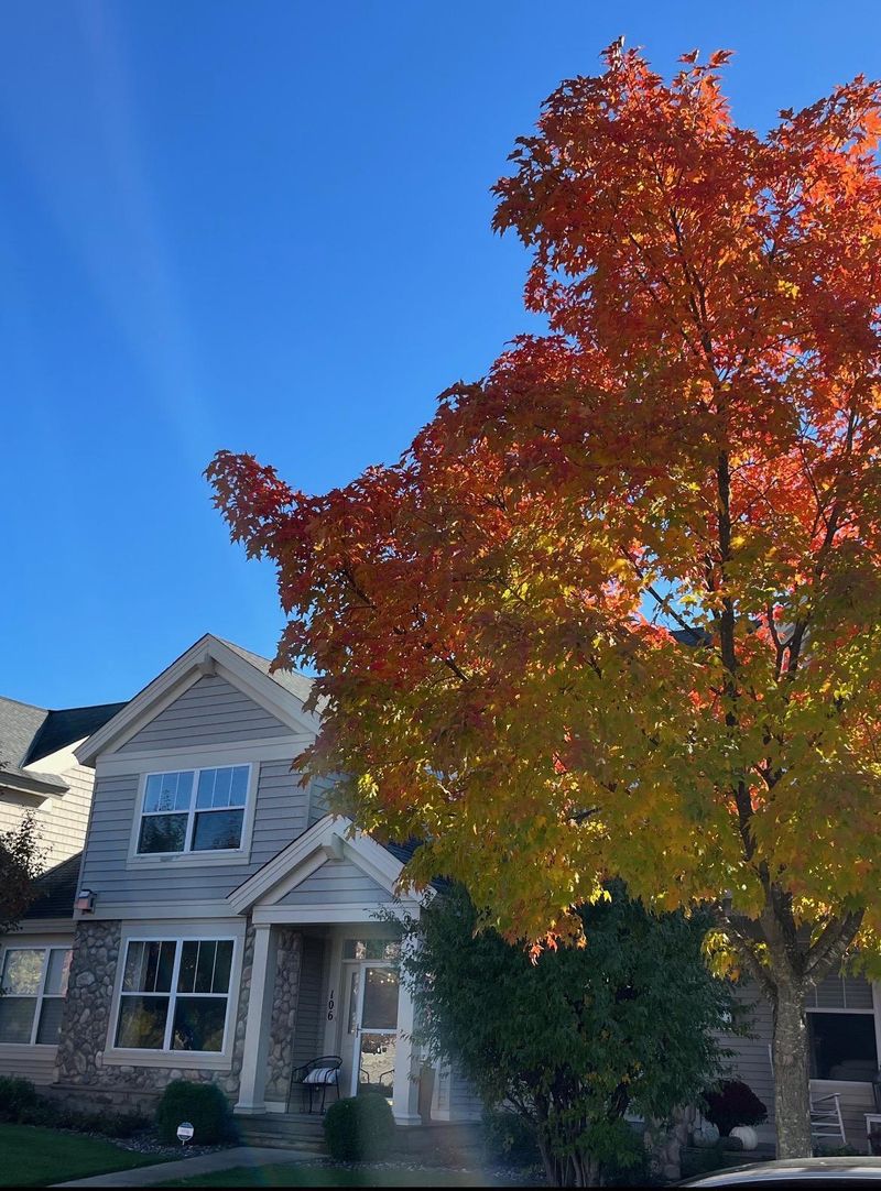 106 Jefferson St, Anoka, MN 55303