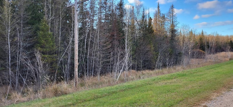 xx16.27 Crane Lake Rd, Crane Lake, MN 55725