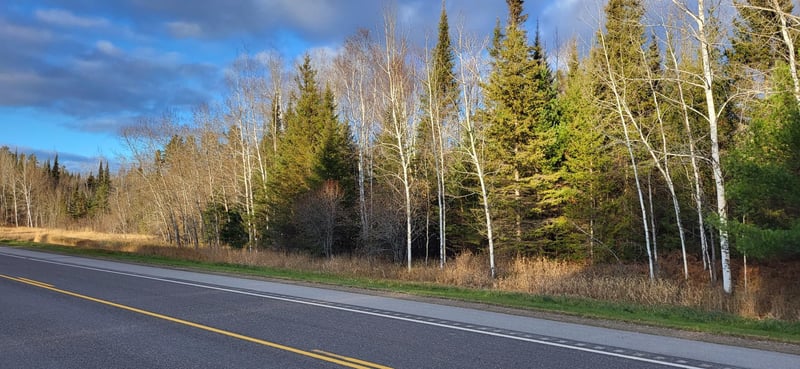 xx16.27 Crane Lake Rd, Crane Lake, MN 55725