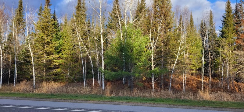 xx16.27 Crane Lake Rd, Crane Lake, MN 55725