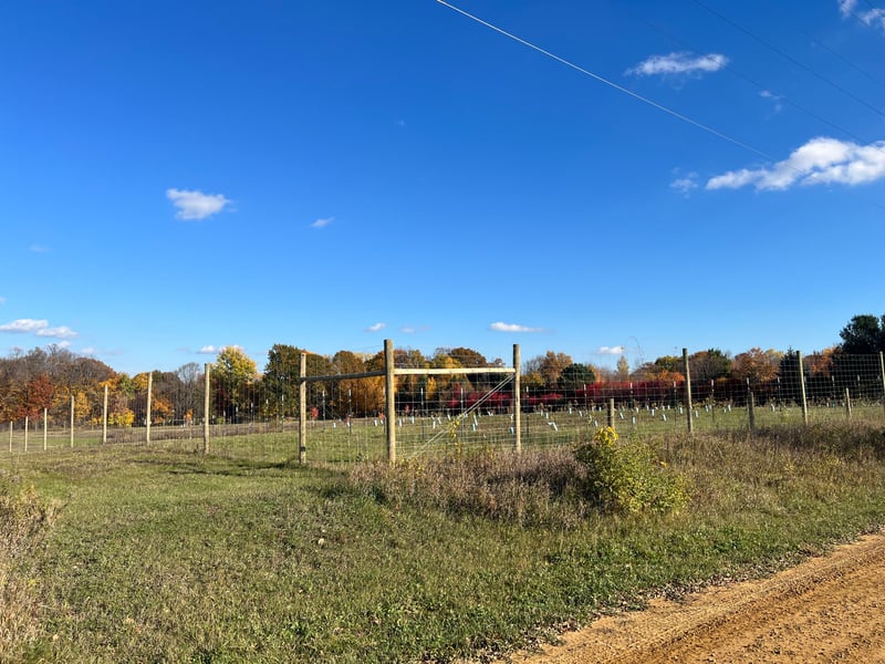 3202X Upland Rd, Taylors Falls, MN 55084