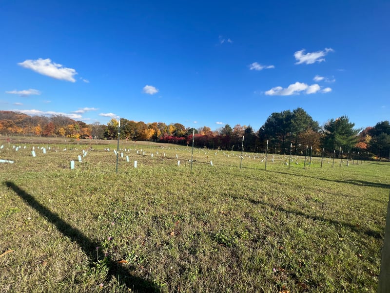 3202X Upland Rd, Taylors Falls, MN 55084